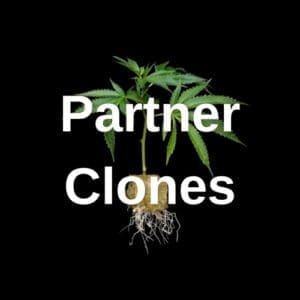 partner clones icon