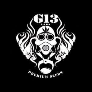 g13 labs premium seeds logo