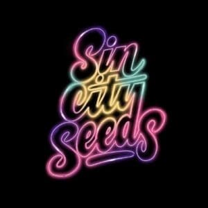 sin city seeds logo