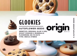 Packaging of Glookies Autoflower with vibrant design showcasing premium cannabis buds