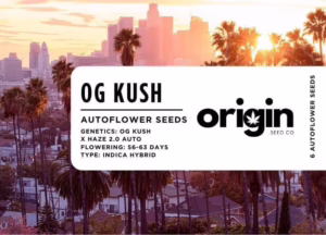 OG Kush Autoflower strain packaging featuring dense buds with citrus and diesel aromas.