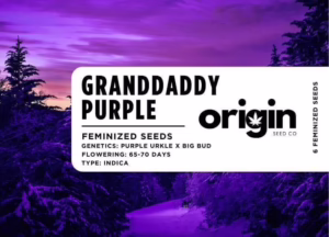 Granddaddy Purple strain packaging featuring deep purple buds and berry aromas.