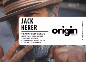 Jack Herer strain packaging featuring sweet, tropical flavors and resin-rich buds.