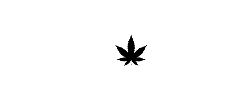Origin Seed Company Seeds logo