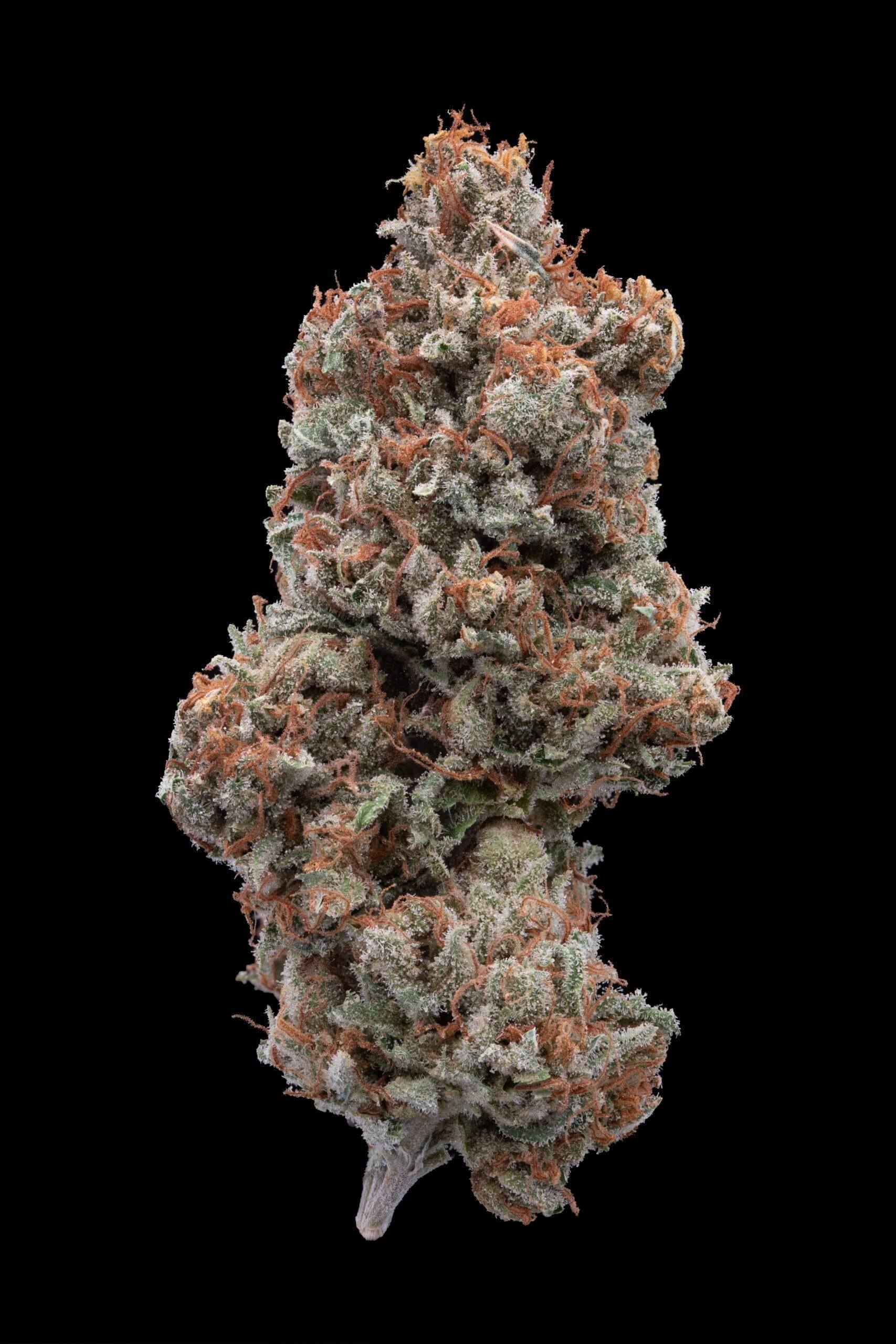 Legend OG x Super Lemon Haze Seeds - Image 3