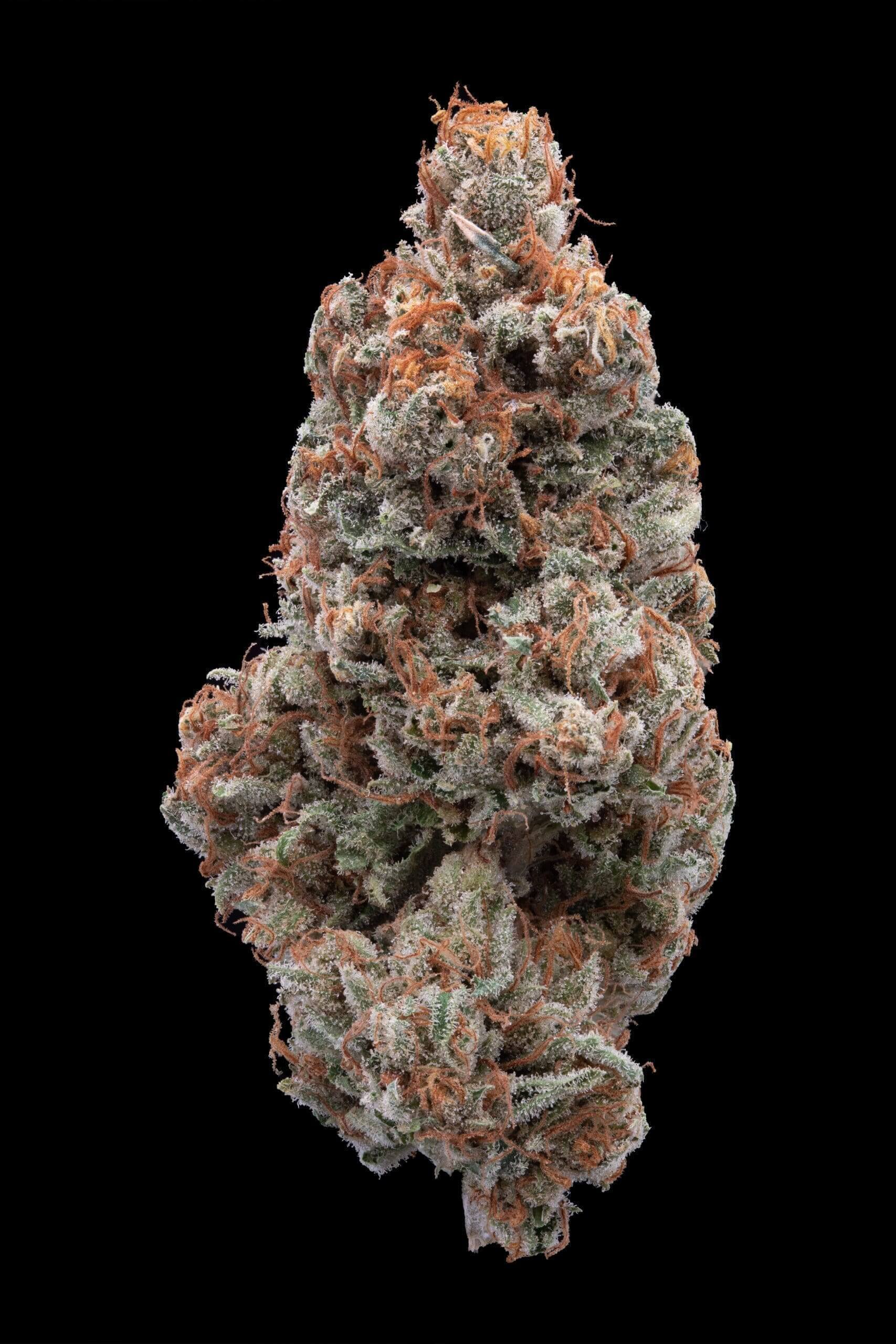 Legend OG x Super Lemon Haze Seeds - Image 5