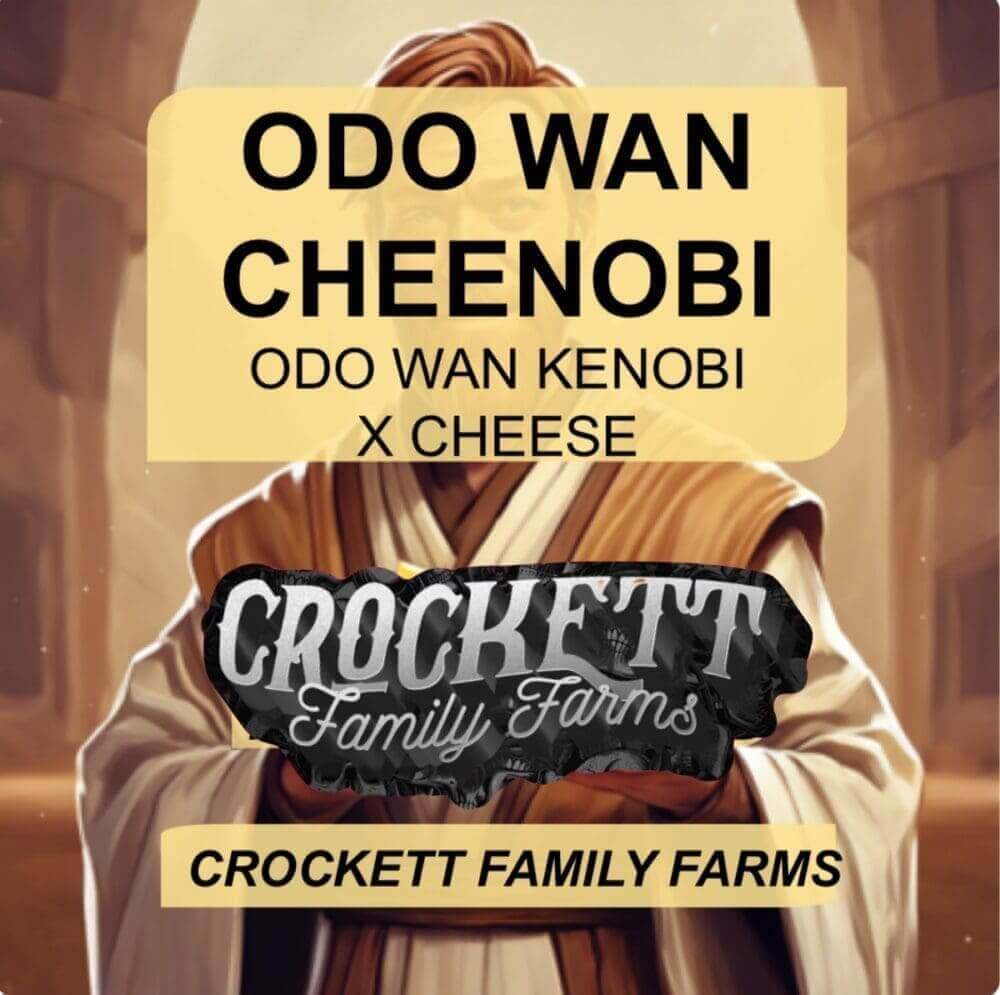 Odo Wan Cheenobi Seeds