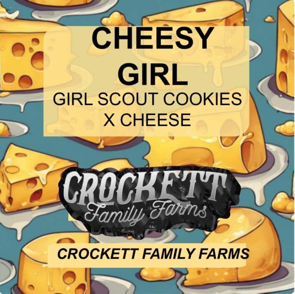 Cheesy Girl Seeds