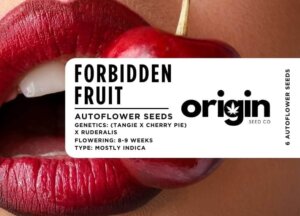 Packaging of Forbidden Fruit strain seeds with fruity genetics