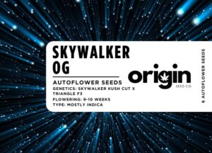 Skywalker OG autoflower seeds in branded packaging