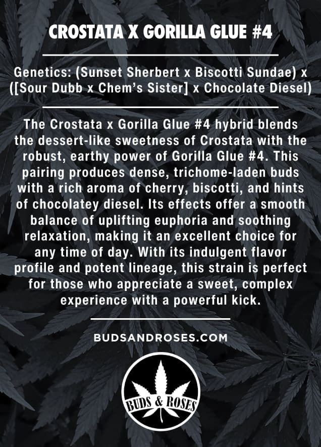 Crostata x Gorilla Glue #4 Seeds - Image 5