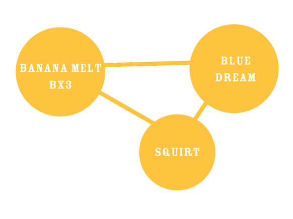 Banana Melt - Image 5