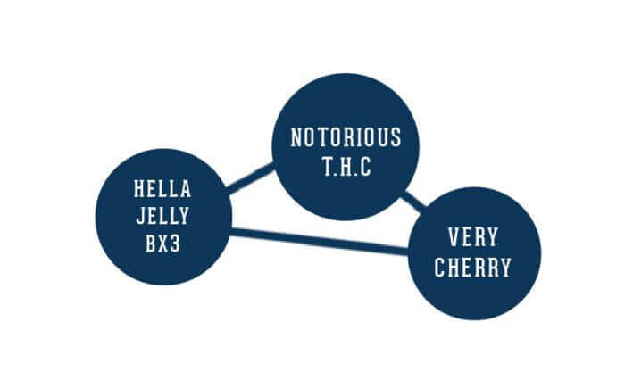 Hella Jelly - Image 4