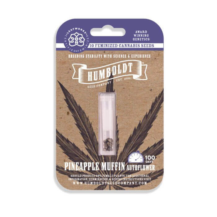 Pineapple Muffin - Image 2