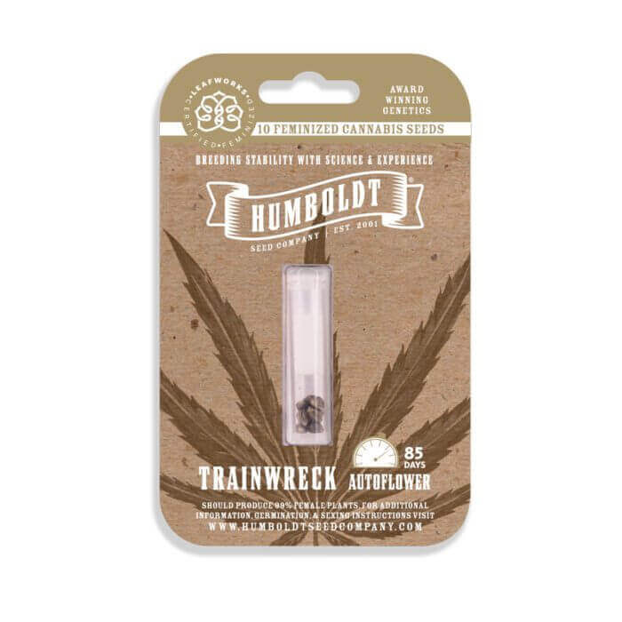 Trainwreck - Image 2