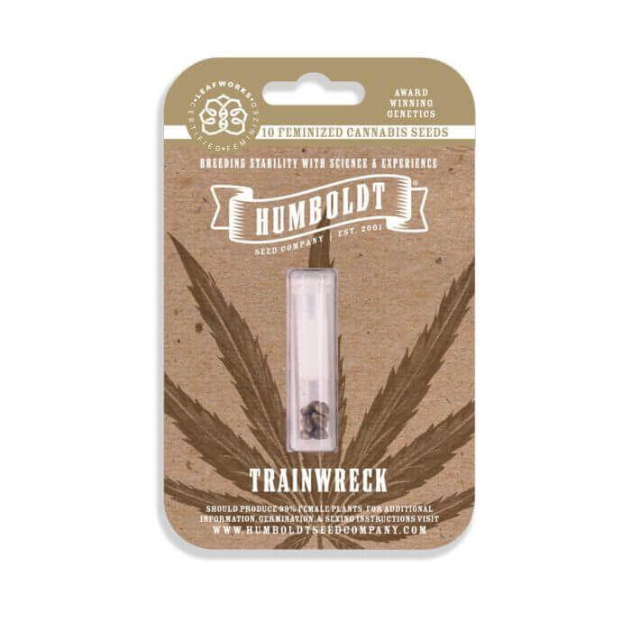 Trainwreck - Image 2