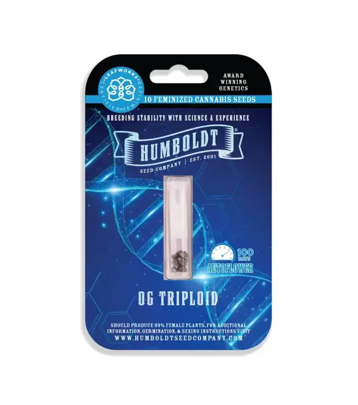 OG Triploid - Image 2