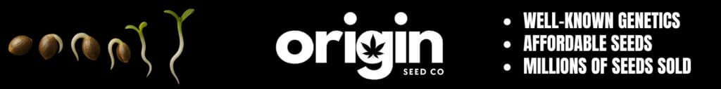 origin seed company banner. affordable seeds. foundational genetics. click here to shop origin seed company