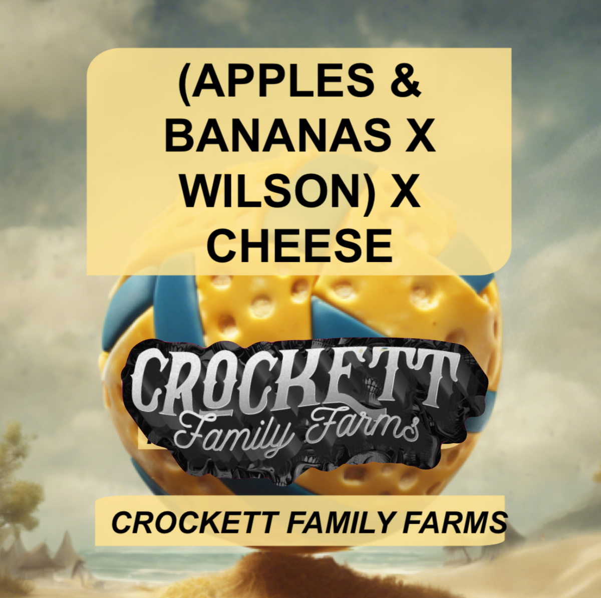 APPLES & BANANAS WILSON X CHEESE Seeds