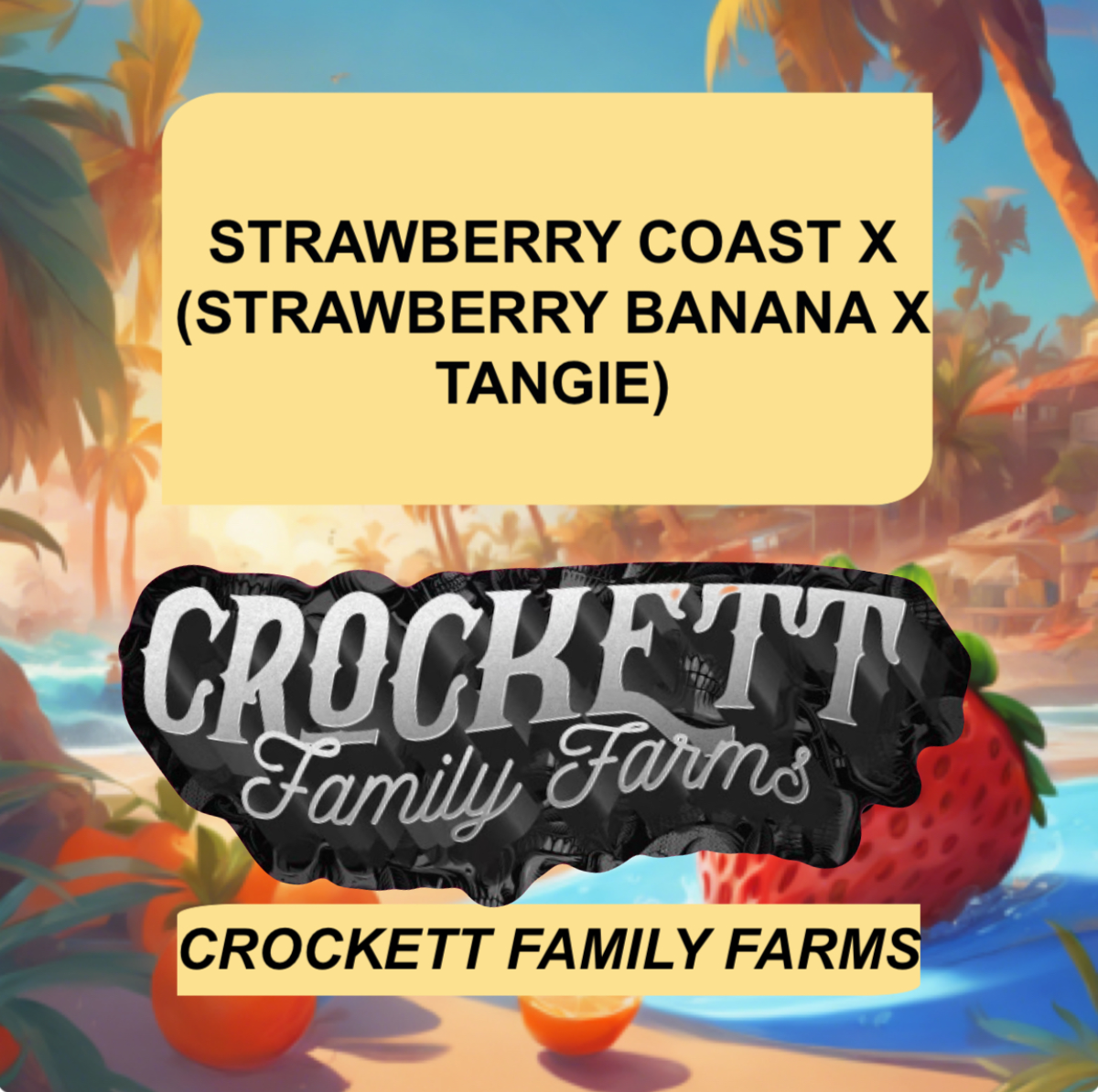 STRAWBERRY COAST X (STRAWBERRY BANANA X TANGIE) Seeds