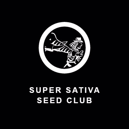 Super Sativa Seed Club logo on black brand tile
