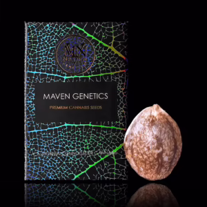 Maven Genetics seed line collection with official seed packaging