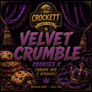 Velvet Crumble regular cannabis seeds from Crockett Family Farms