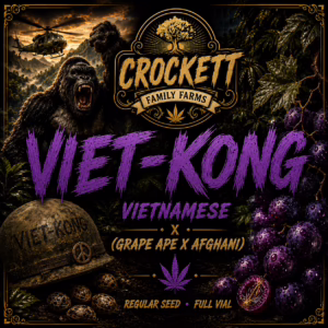Viet-Kong regular cannabis seeds from Crockett Family Farms