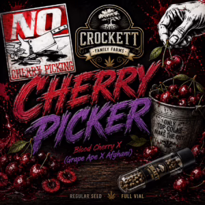 Cherry Picker regular cannabis seeds from Crockett Family Farms