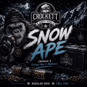 Snow Ape regular cannabis seeds from Crockett Family Farms
