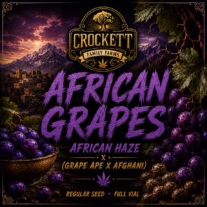 African Grapes regular cannabis seeds from Crockett Family Farms