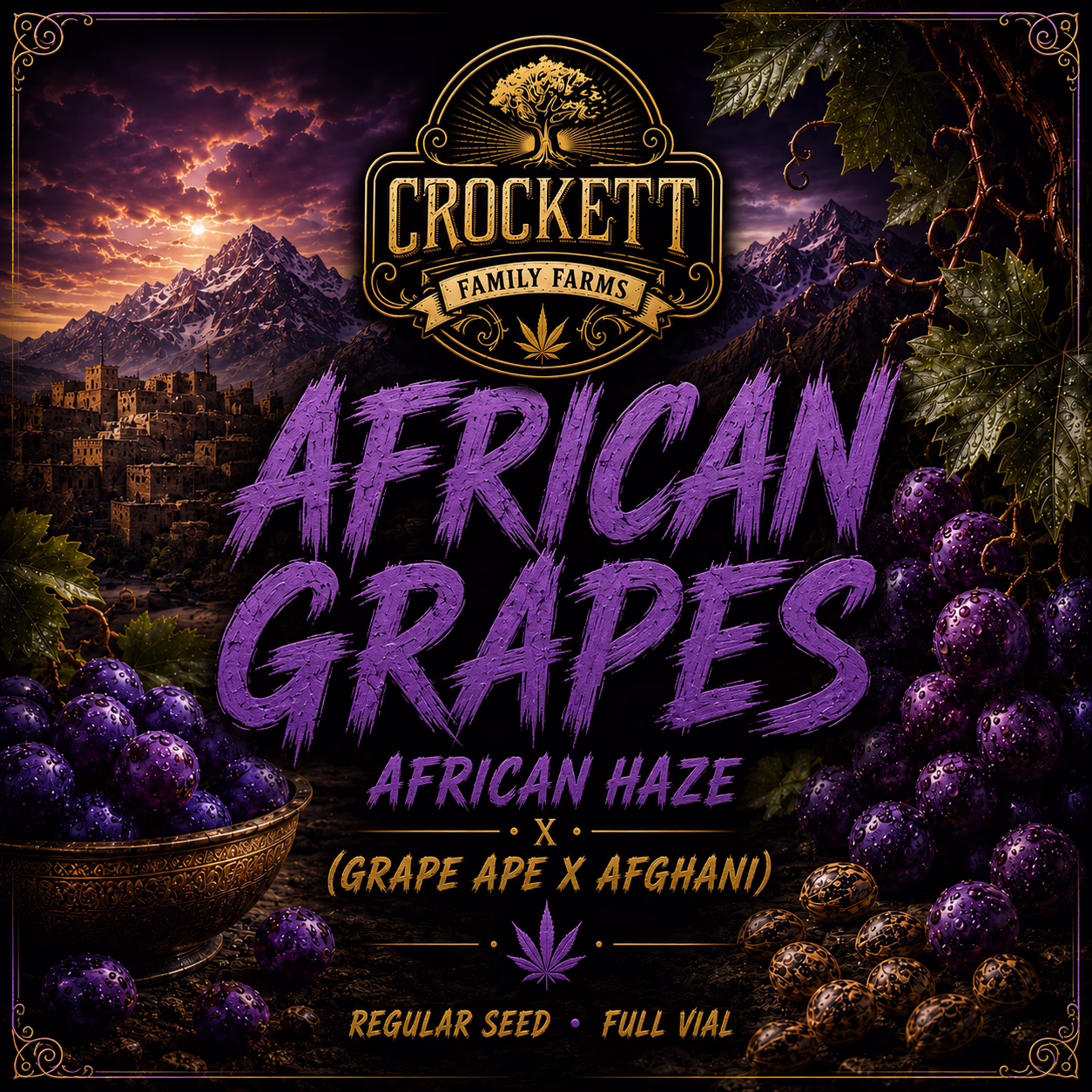 African Grapes regular cannabis seeds from Crockett Family Farms