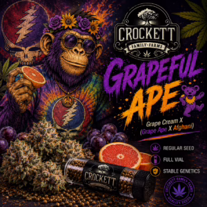 Grapeful Ape regular cannabis seeds from Crockett Family Farms