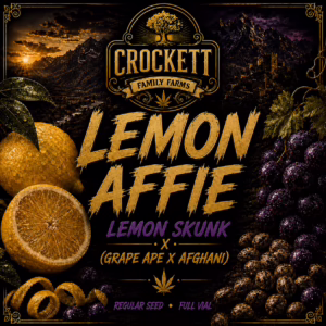 Lemon Affie regular cannabis seeds from Crockett Family Farms