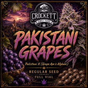 Pakistani Grapes regular cannabis seeds from Crockett Family Farms