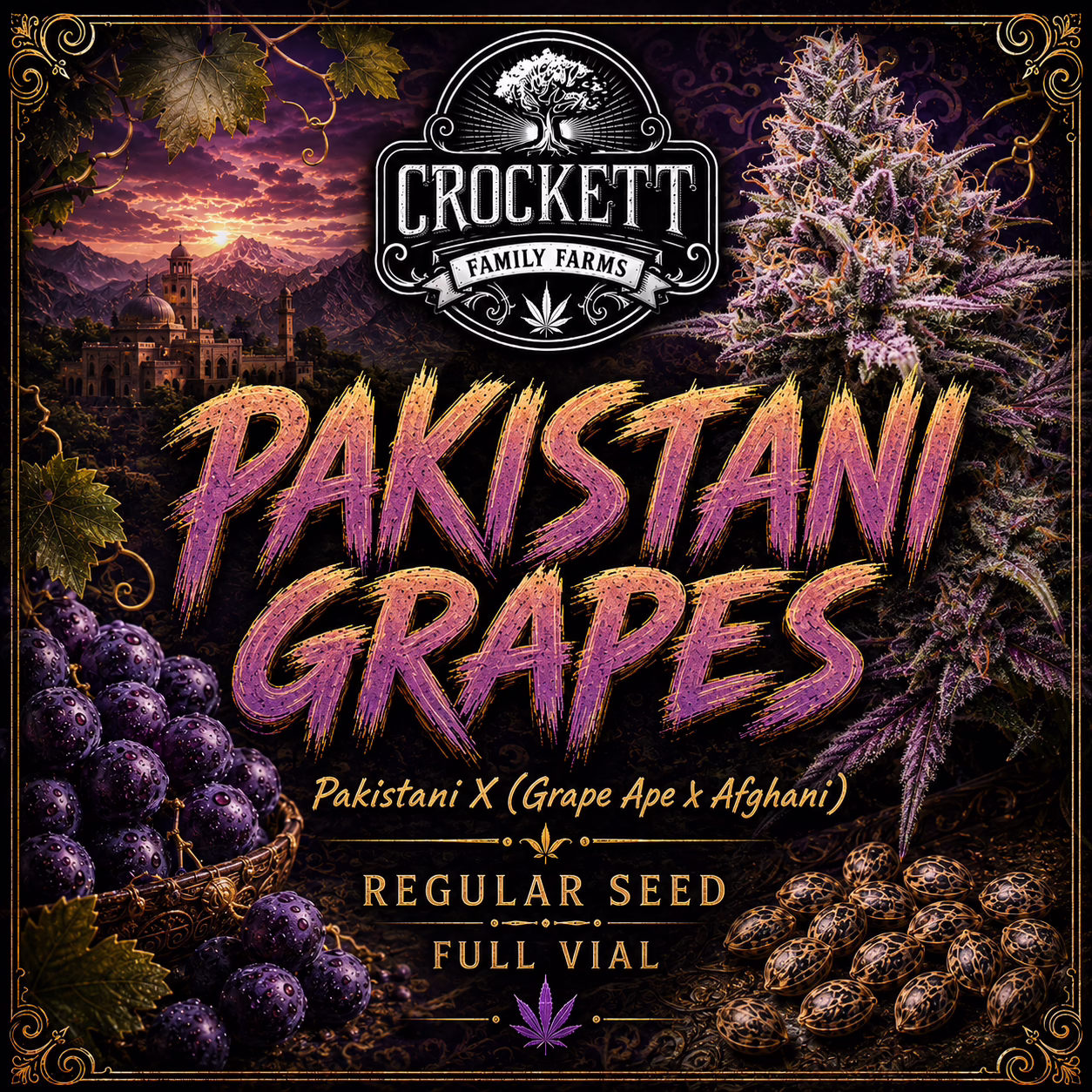 Pakistani Grapes regular cannabis seeds from Crockett Family Farms