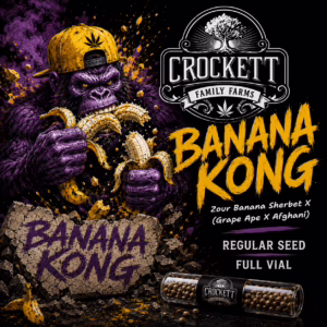 Banana Kong regular cannabis seeds from Crockett Family Farms