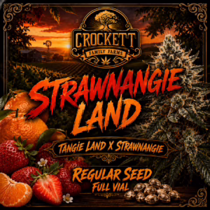 Strawnangie Land regular cannabis seeds from Crockett Family Farms