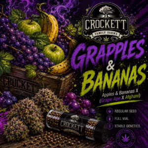 Grapples & Bananas regular cannabis seeds from Crockett Family Farms
