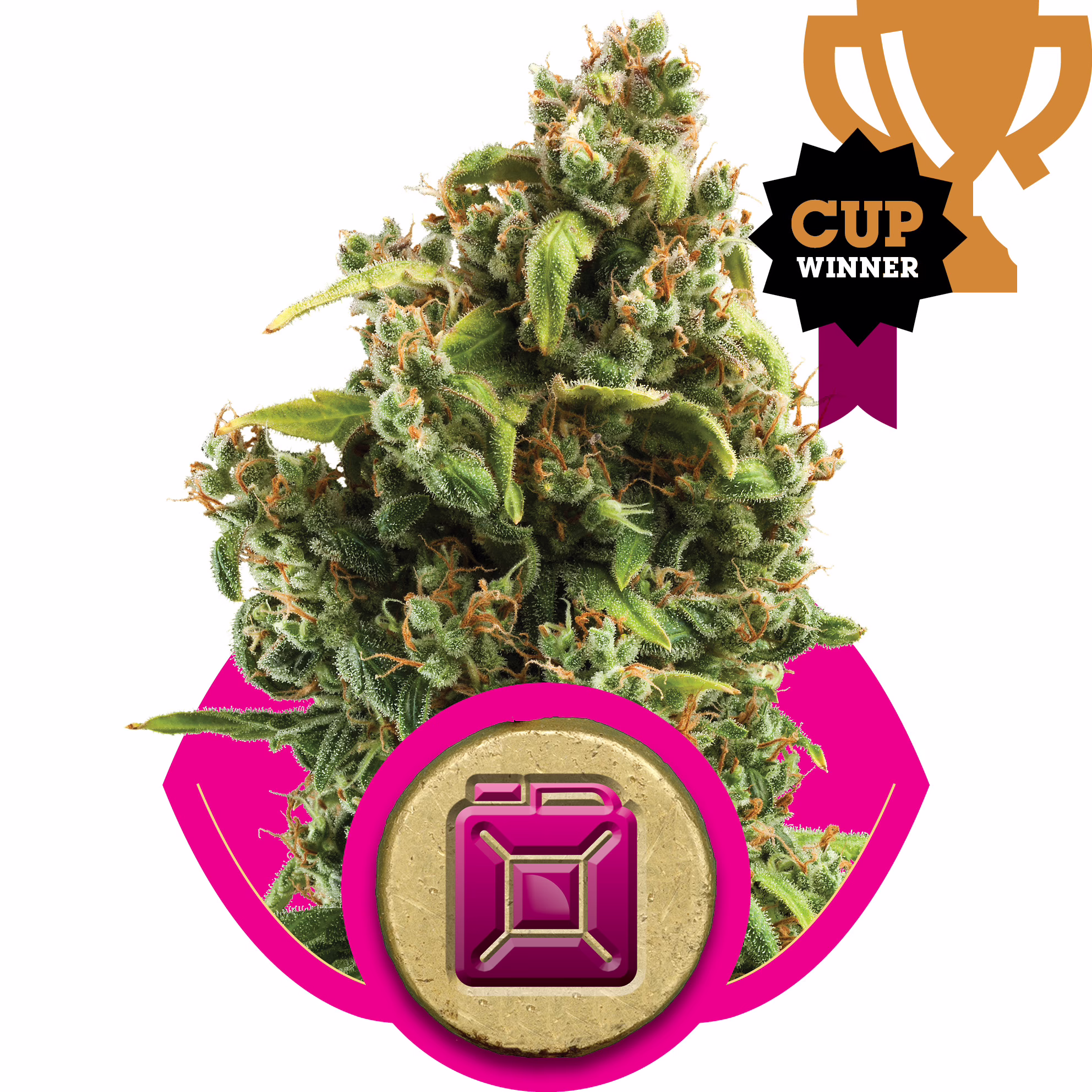 Sour Diesel Seeds by Royal Queen Seeds