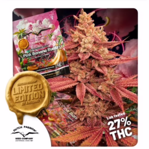 Pink Banana Runtz Seeds by Dutch Passion