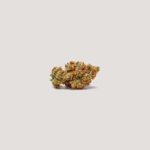 Pomegranate Lime Auto Seeds by Purple City Genetics