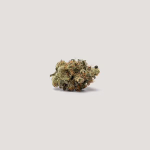 Spidey Sauce Seeds by Purple City Genetics