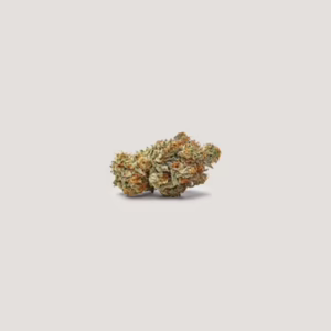 NorCal Sour Z Seeds by Purple City Genetics