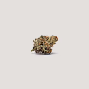 Lemon Cherry Tarts Seeds by Purple City Genetics