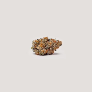 Gushi Seeds by Purple City Genetics