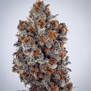 Banana Hammock RBX feminized cannabis seeds by Ethos Genetics, Grape God x Mandarin Sunset, 5-pack