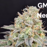 GMO Nerds Seed Start