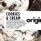 Cookies & Cream Autoflower strain packaging with sweet, fruity, and woody aroma description