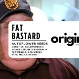 Auto Fat Bastard FRONT
